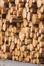 Log pile