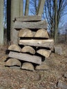 Log pile #2 Royalty Free Stock Photo