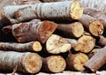 Log pile