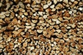 Log pile Royalty Free Stock Photo