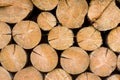 Log pile Royalty Free Stock Photo