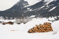 Log Pile in Austrian Alps