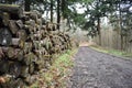 Log pile extending into the distance adjacent to a forestry track