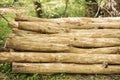 Log pile in the forest. Wood stack. Close up Royalty Free Stock Photo