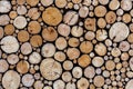 Log pile Royalty Free Stock Photo