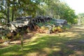 Log piles from fallen trees