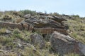 Petrified log under rock