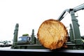 A log from a sawn tree on a truck. Industrial harvesting of timber. Selective focus Royalty Free Stock Photo