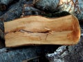 Log split in half along the close-up Royalty Free Stock Photo