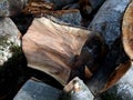 Log split in half along the close-up Royalty Free Stock Photo