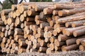Log Stack. Timber Production, Transportation and Deliver Royalty Free Stock Photo
