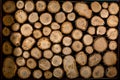 Log texture Royalty Free Stock Photo