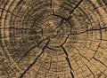 Log texture vector illustration.Wooden background. Royalty Free Stock Photo