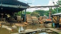 Log of timber being processed as the raw material for plywood manufacture industry