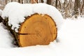 Log under snow Royalty Free Stock Photo