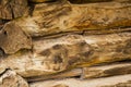 Log wall cottonwood logs cut hand retro carved Royalty Free Stock Photo