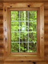 Log Wall Pane Window