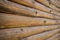 Log wall texture. Perspective photo. Closeup