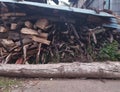 A log of wood is piled up in front of a pile of wood.