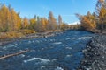 Log of wood in a rushing Studenaya River. Volcanic area Mount Ostry Tolbachik, Kamchatka, Russia.