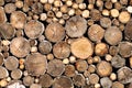 Log wood texture Royalty Free Stock Photo
