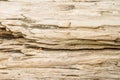 Log wood texture Royalty Free Stock Photo