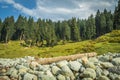 A log of wood in vast field of round boulders of a river bed in a landscape in Kashmir