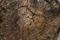 Log masonry. Corner of the log cabin made of logs. Old texture on old logs