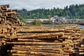 Shelton Washington log yard Royalty Free Stock Photo