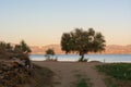 Logaras beach at the eastern coast of the island of Paros. Royalty Free Stock Photo