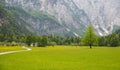 Logarska dolina/ Logar valley, Slovenia Royalty Free Stock Photo