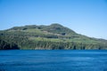 Logged forests on Vancouver Island