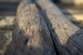 Logged trees next to each other and used in setting up temporary structures. Selective focus Royalty Free Stock Photo