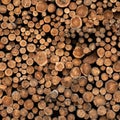 Logged Wood of Varying Sizes