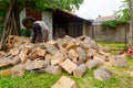 Logger is cutting firewood in the yard with chainsaw