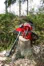 Logger equipment in forest Royalty Free Stock Photo