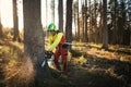 Logger man cutting a tree with chainsaw. Lumberjack working with chainsaw during a nice sunny day. Tree and nature. People at work