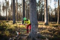 Logger man cutting a tree with chainsaw. Lumberjack working with chainsaw during a nice sunny day. Tree and nature. People at work