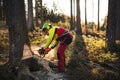 Logger man cutting a tree with chainsaw. Lumberjack working with chainsaw during a nice sunny day. Tree and nature. People at work Royalty Free Stock Photo