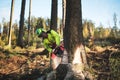 Logger man cutting a tree with chainsaw. Lumberjack working with chainsaw during a nice sunny day. Tree and nature. People at work Royalty Free Stock Photo