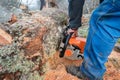 Logger man working with chainsaw Royalty Free Stock Photo