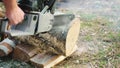 A logger saws a log with a chainsaw. Shavings fly in all directions Royalty Free Stock Photo