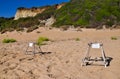 Loggerhead sea turtle nesting site Royalty Free Stock Photo