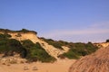 Loggerhead sea turtle nesting site beach Royalty Free Stock Photo