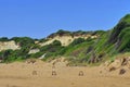 Loggerhead sea turtle nests (Caretta Caretta) - Zakynthos Island, landmark attraction in Greece Royalty Free Stock Photo