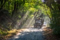 Logging truck going down a dusty dirt path through a forest