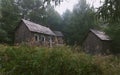 Logging cabin around Forest