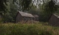 Logging cabin around Forest