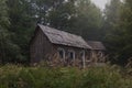 Logging cabin around Forest