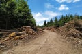 Logging companies restrict the passage on bike path of cyclists